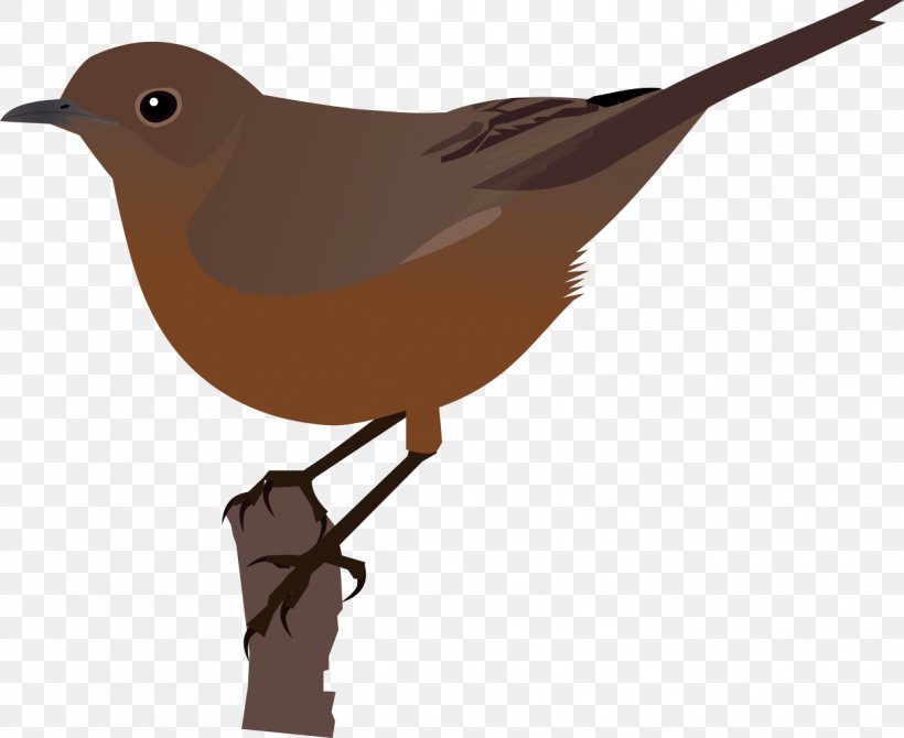 Clip Art, PNG, 1253x1024px, Rendering, Beak, Bird, Chat, Drawing Download Free