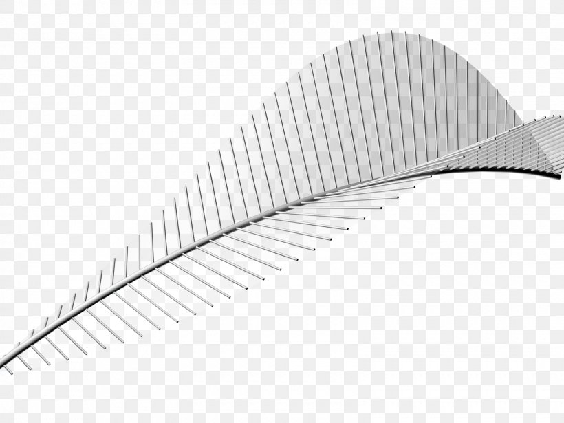Line Angle Product Design, PNG, 1600x1200px, Wing Download Free