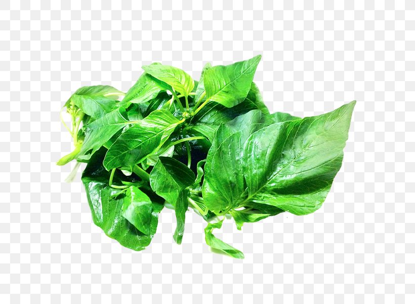 Spinach Food, PNG, 600x600px, Spinach, Basil, Beetroot, Chard, Cruciferous Vegetables Download Free