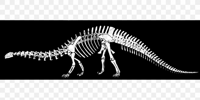 Velociraptor The Lost World ARK: Survival Evolved Dinosaur Tyrannosaurus, PNG, 1920x960px, Velociraptor, Ark Survival Evolved, Black And White, Bone, Bones Download Free