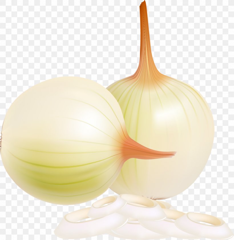 Onion Royalty-free, PNG, 1432x1466px, Onion, Art, Food, Ingredient, Istock Download Free