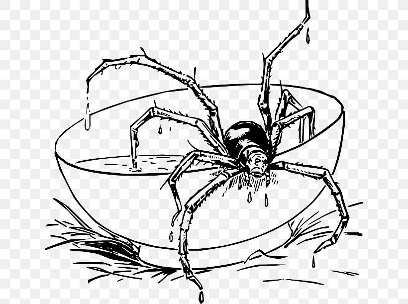 Spider-Man Coloring Book Spider Web Iron Spider, PNG, 640x611px, Spider, Adult, Animal, Arachnid, Arthropod Download Free