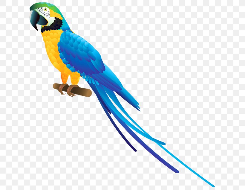 Bird Clip Art, PNG, 640x635px, Bird, Animal Figure, Beak, Common Pet Parakeet, Feather Download Free