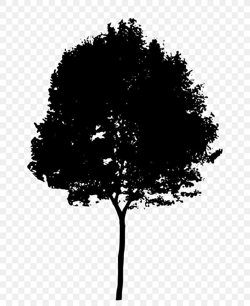 Silhouette Clip Art, PNG, 709x1000px, Silhouette, Black And White, Branch, Leaf, Monochrome Download Free