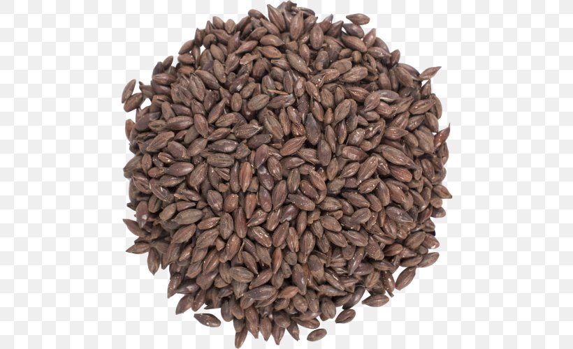 Beer Pilsner Stout Malt Porter, PNG, 500x500px, Beer, Barley, Beer Brewing Grains Malts, Cereal, Commodity Download Free