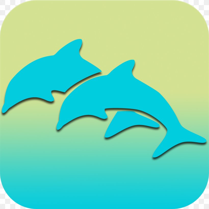 Common Bottlenose Dolphin Requiem Shark Clip Art, PNG, 1024x1024px, Common Bottlenose Dolphin, Biology, Bottlenose Dolphin, Dolphin, Fin Download Free