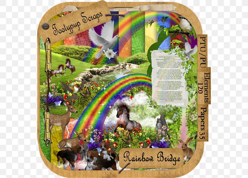 Dog Rainbow Bridge Cat Animal Loss Pet, PNG, 574x590px, Dog, Animal, Animal Loss, Cat, Family Download Free