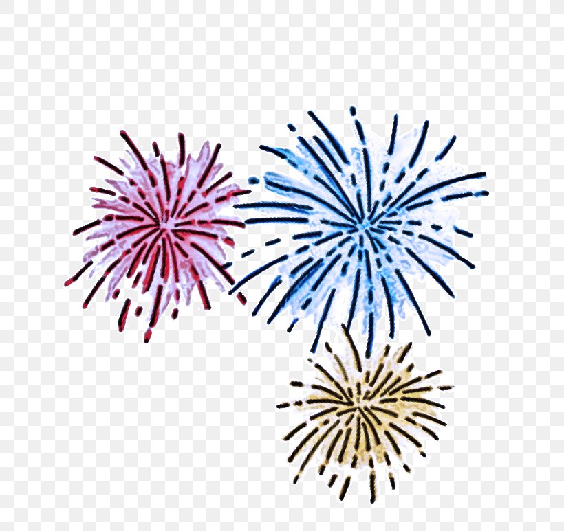 Fireworks, PNG, 803x773px, Fireworks Download Free