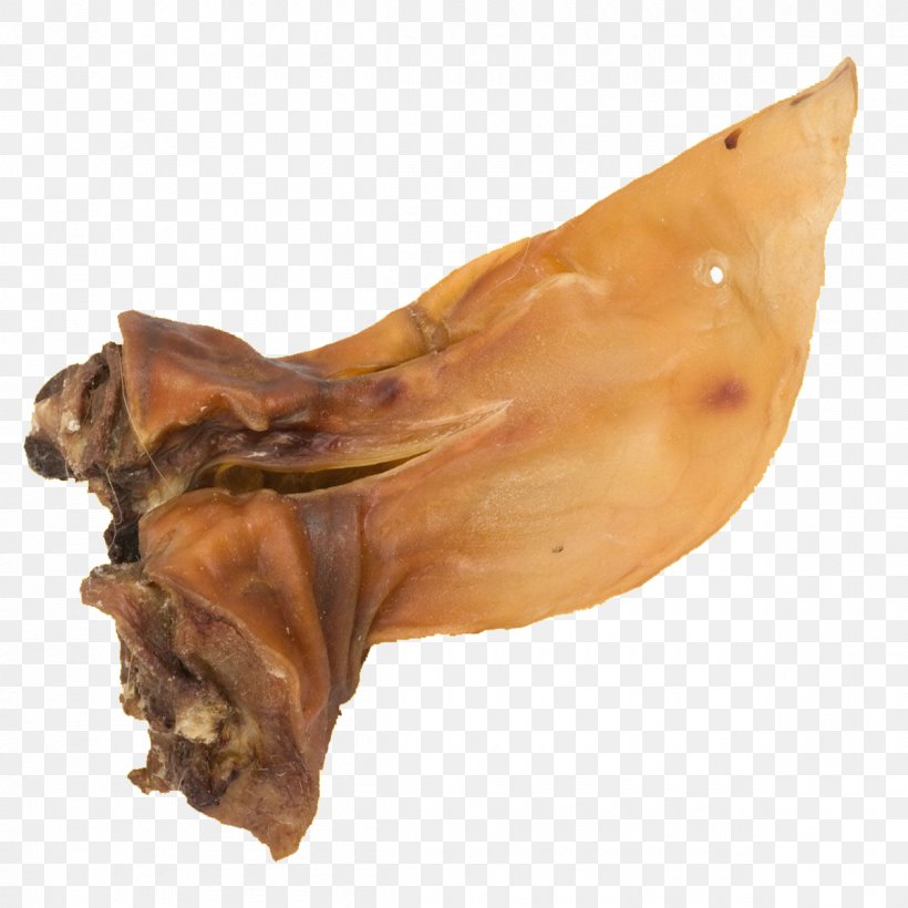 Lunderland Rinderohr Mit Muschel Pig's Ear, PNG, 1200x1200px, Ear, Animal Source Foods Download Free
