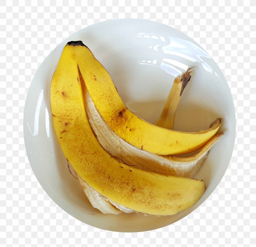 Banana Bread Banana Peel Cooking Banana, PNG, 1600x1541px, Banana Bread, Banana, Banana Family, Banana Peel, Compost Download Free