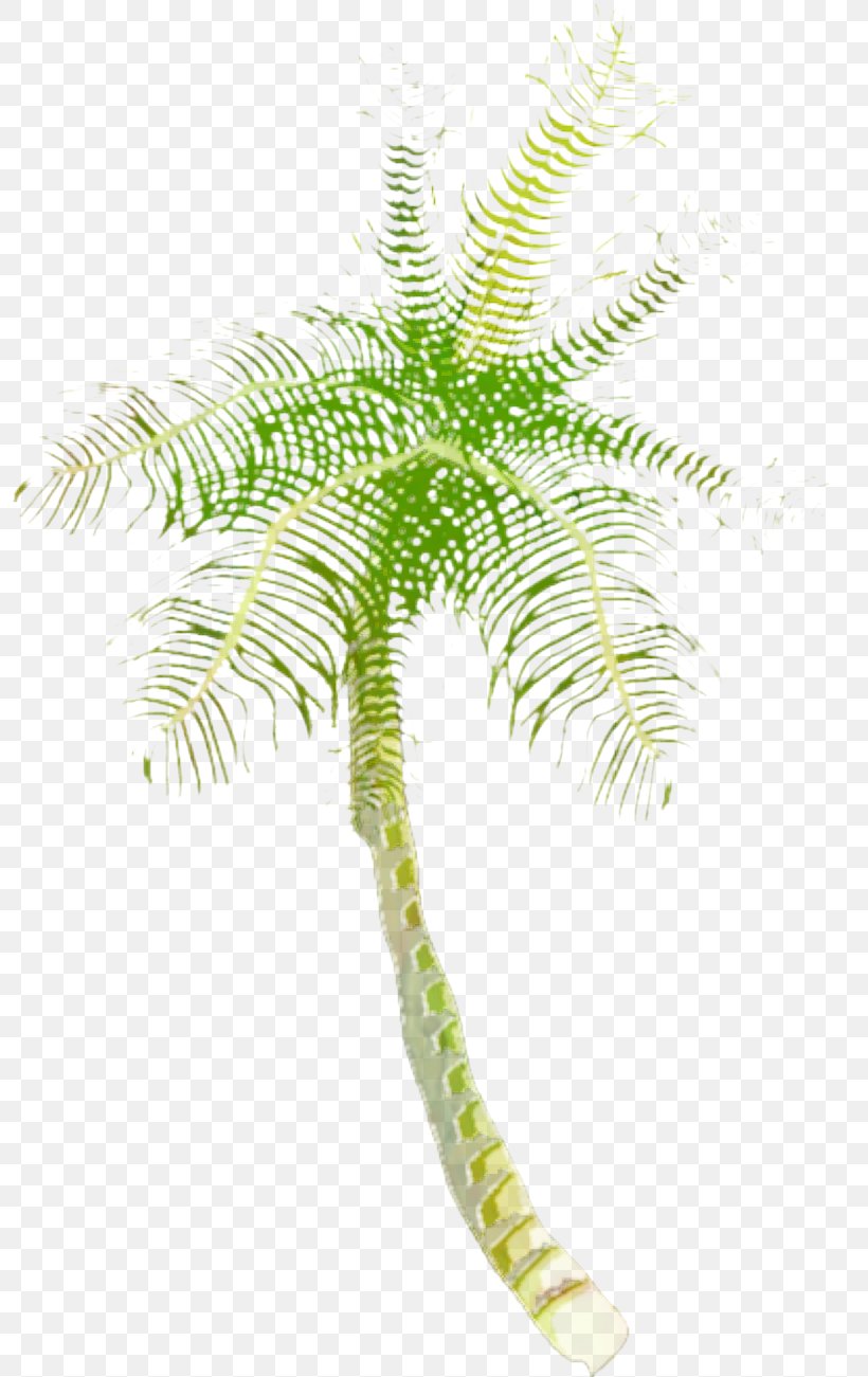 Coconut Tree Cartoon, PNG, 800x1301px, Coconut, Arecales, Date Palm, Elaeis, Fern Download Free