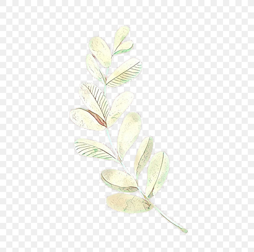 Feather, PNG, 564x814px, Leaf, Branch, Feather, Flower, Magnolia Download Free
