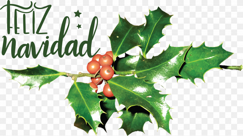 Feliz Navidad Merry Christmas, PNG, 3000x1687px, Feliz Navidad, Aquifoliales, Branch, Chicken, Chicken Coop Download Free