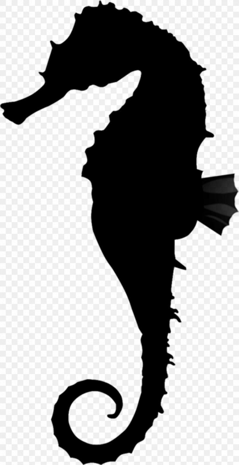 Fish Cartoon, PNG, 954x1852px, Silhouette, Blackandwhite, Fish, Seahorse Download Free