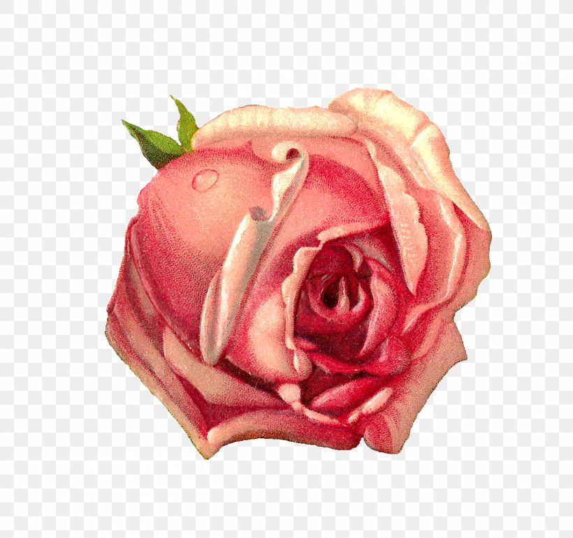 Paper Rose Pink Clip Art, PNG, 1308x1231px, Paper, Antique, Color, Cut Flowers, Digital Image Download Free