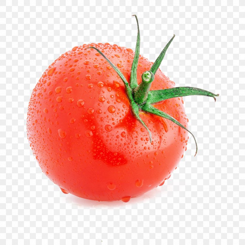 Plum Tomato Cherry Tomato Pizza Vegetable Tomato Slicer, PNG, 2502x2502px, Plum Tomato, Cherry, Cherry Tomato, Food, Fruit Download Free
