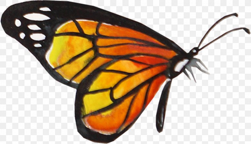 Monarch Butterfly, PNG, 1611x923px, Butterfly, Arthropod, Brush Footed Butterfly, Creativity, Drawing Download Free
