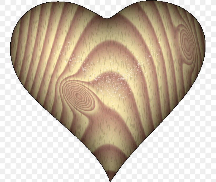 Nautiluses Organism, PNG, 743x691px, Nautiluses, Heart, Nautilida, Organism Download Free