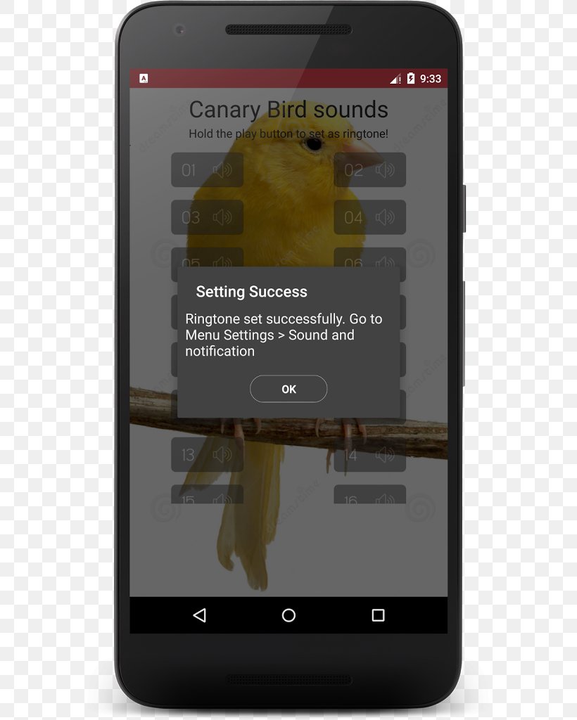 Smartphone Domestic Canary Bird Sounds, PNG, 573x1024px, Smartphone, Android, Bird, Bird Sounds, Canary Islands Download Free