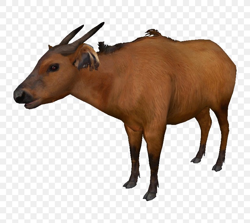 Zoo Tycoon 2 Cattle Water Buffalo American Bison African Buffalo, PNG, 732x732px, Zoo Tycoon 2, African Buffalo, African Forest Buffalo, American Bison, Animal Download Free