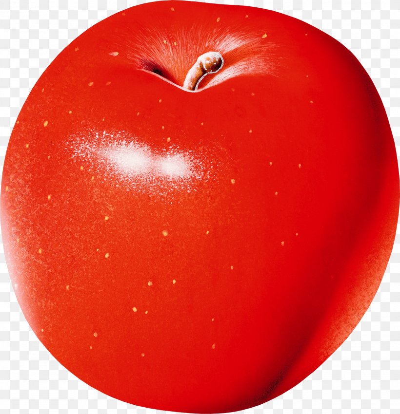 Apple Clip Art, PNG, 1575x1633px, Fruit, Apple, Berry, Cartoon, Diet Food Download Free