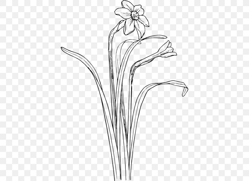 Drawing Plant Stem Flower Clip Art, PNG, 420x596px, Drawing, Artwork, Black And White, Branch, Cut Flowers Download Free