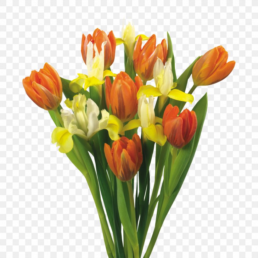 Flower Bouquet Tulip, PNG, 1500x1500px, Flower, Artificial Flower, Bud, Crocus, Cut Flowers Download Free