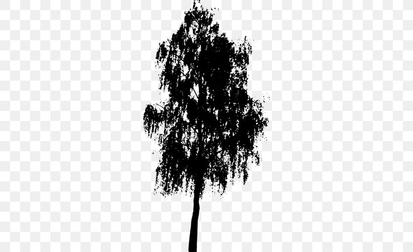 Tree Silhouette Clip Art, PNG, 500x500px, Tree, Black And White, Branch, Drawing, Monochrome Download Free
