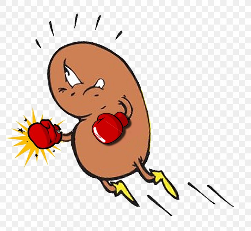 Chronic Kidney Disease Polycystic Kidney Disease Kidney Failure, PNG, 838x770px, Watercolor, Cartoon, Flower, Frame, Heart Download Free