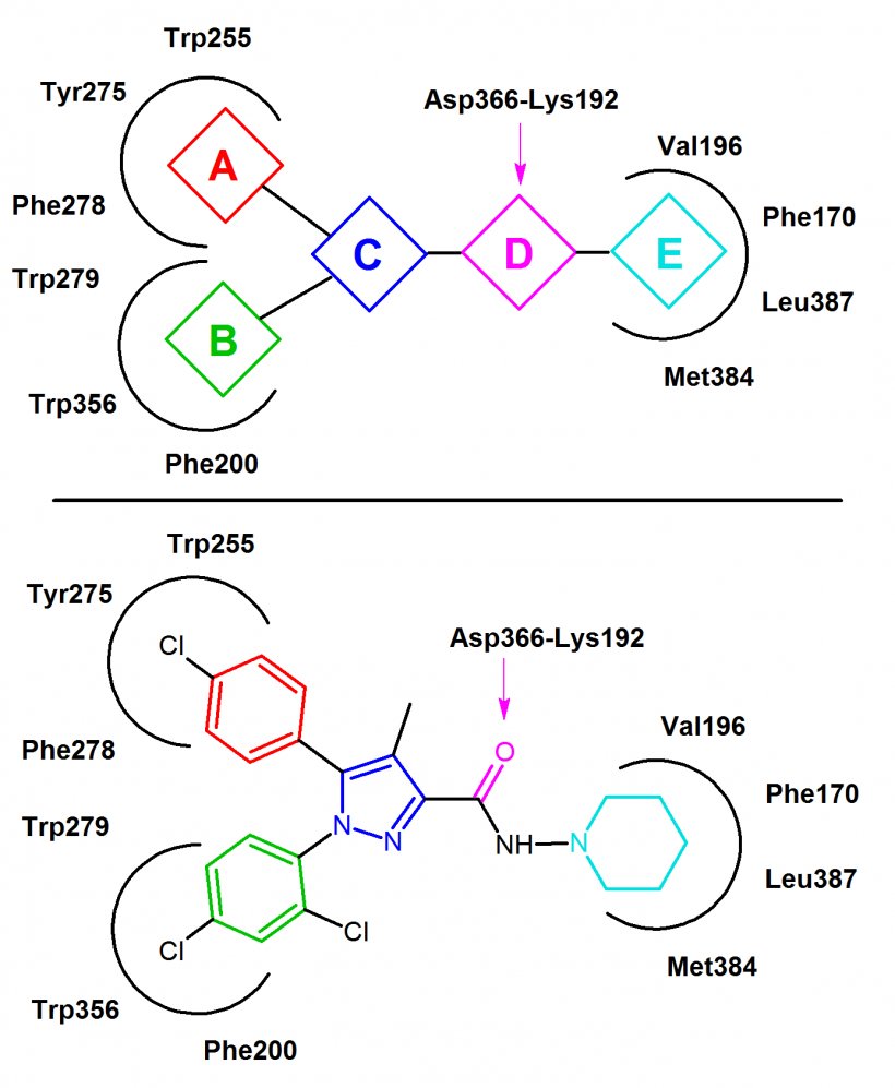 Pharmacophore Cannabinoid Receptor Antagonist Dopamine, PNG, 1387x1688px, Pharmacophore, Agonist, Area, Cannabinoid, Cannabinoid Receptor Download Free