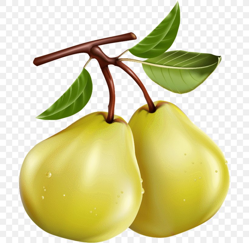 Asian Pear Desktop Wallpaper Clip Art, PNG, 695x800px, Asian Pear, Adobe After Effects, Apple, Bosc Pear, Food Download Free