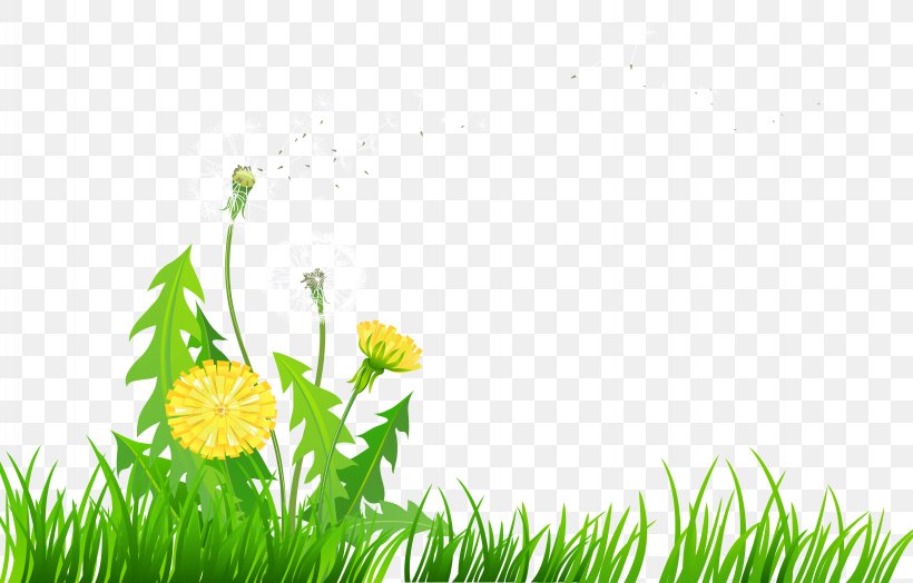 Dandelion Flower Clip Art, PNG, 4502x2882px, Dandelion, Daisy, Flora, Floral Design, Flower Download Free