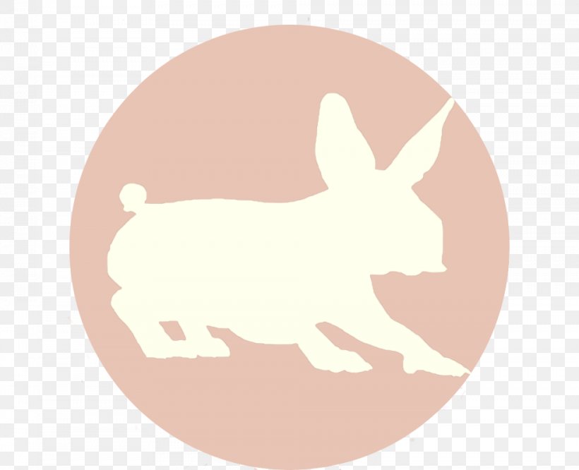 Dog Hare Easter Bunny Rabbit, PNG, 984x800px, Dog, Canidae, Carnivoran, Cartoon, Dog Like Mammal Download Free