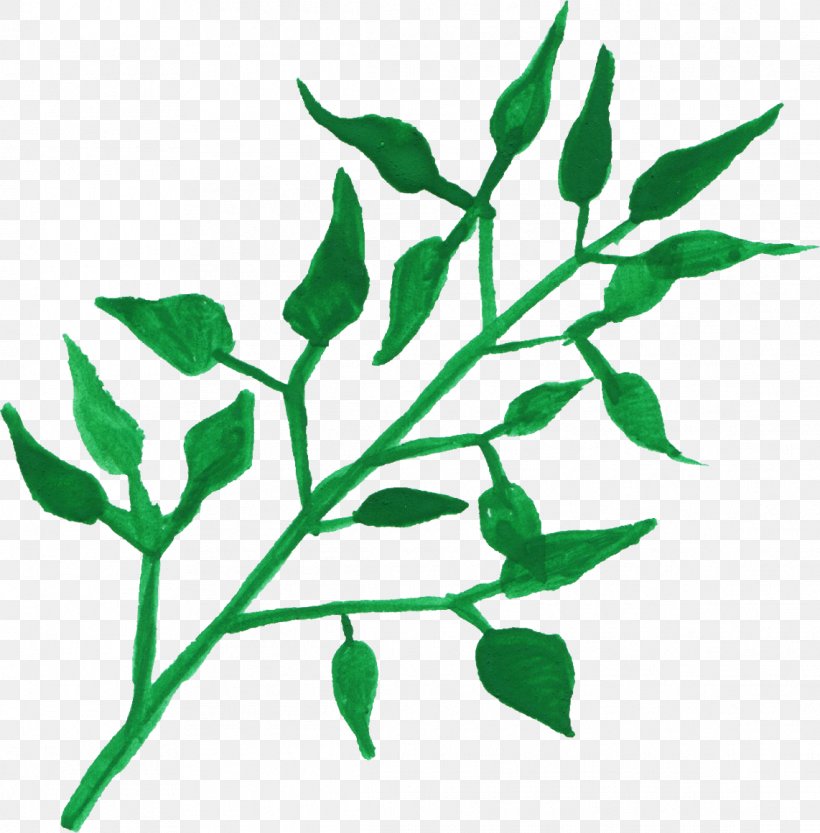 Leaf Plant Stem Watercolor Painting, PNG, 1142x1161px, Leaf, Art, Botany, Branch, Flora Download Free