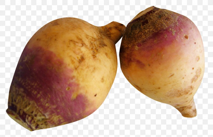 Rutabaga Vegetable Turnip, PNG, 1539x991px, Rutabaga, Beetroot, Brassica Oleracea, Food, Fruit Download Free
