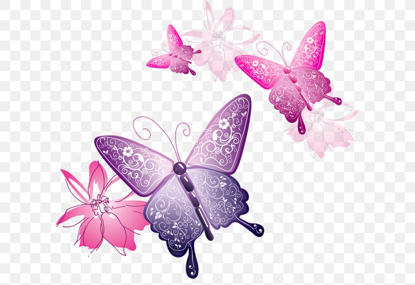 Butterfly Clip Art, PNG, 600x563px, Butterfly, Brush Footed Butterfly, Color, Free Content, Greta Oto Download Free