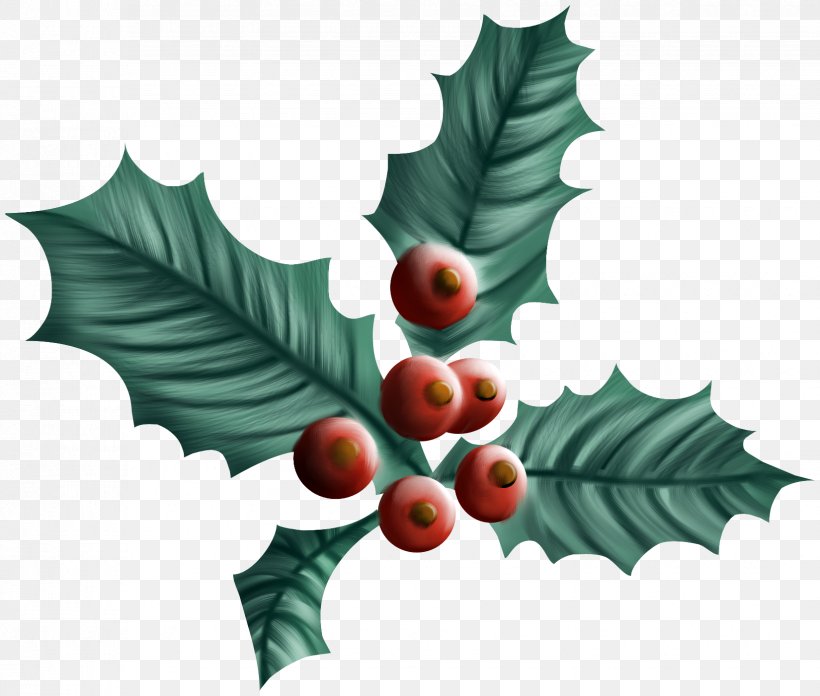 Common Holly Christmas Drawing Aquifoliales Plant, PNG, 1650x1402px, Common Holly, Aquifoliaceae, Aquifoliales, Christmas, Christmas Tree Download Free