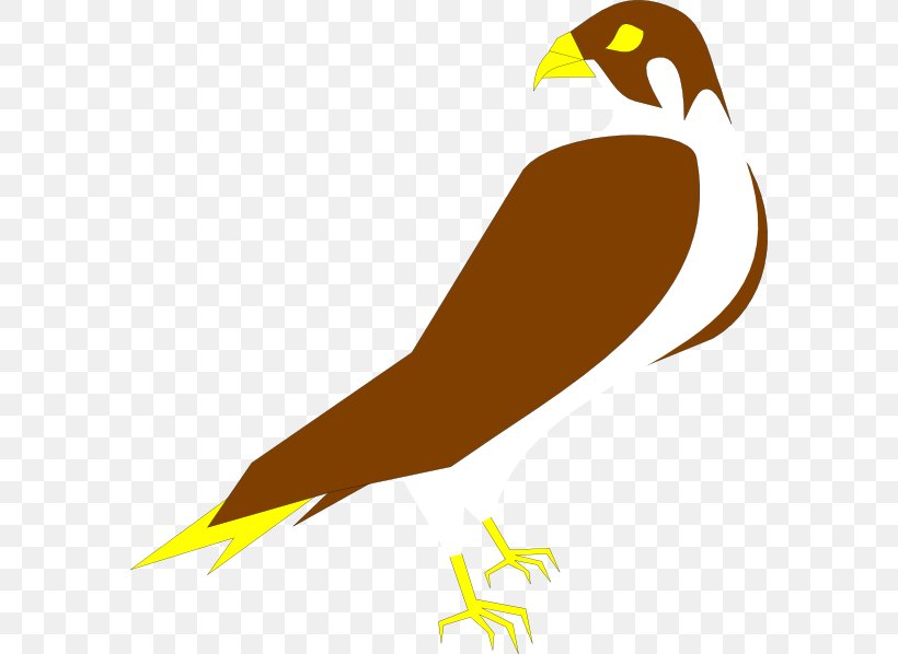 Peregrine Falcon Clip Art, PNG, 582x598px, Falcon, Artwork, Beak, Bird, Bird Of Prey Download Free