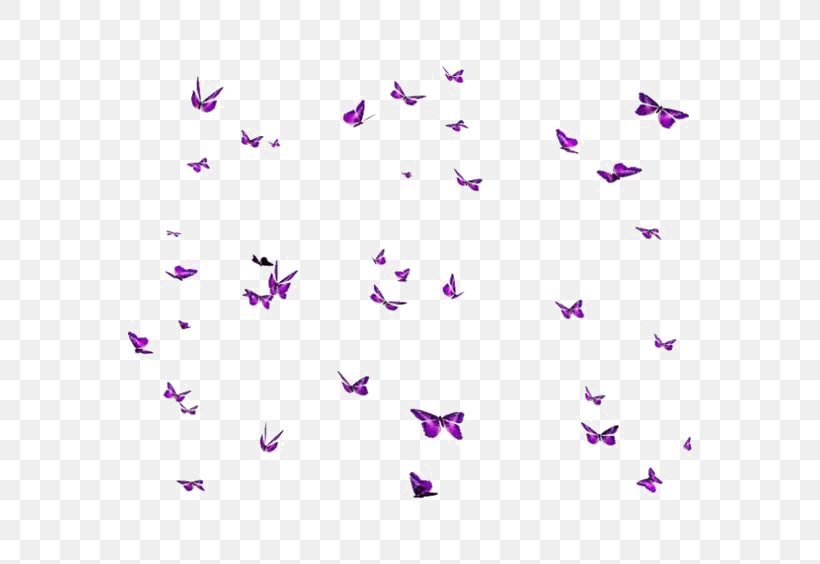 Designer Clip Art, PNG, 564x564px, Designer, Butterflies And Moths, Coat, Court Shoe, Magenta Download Free