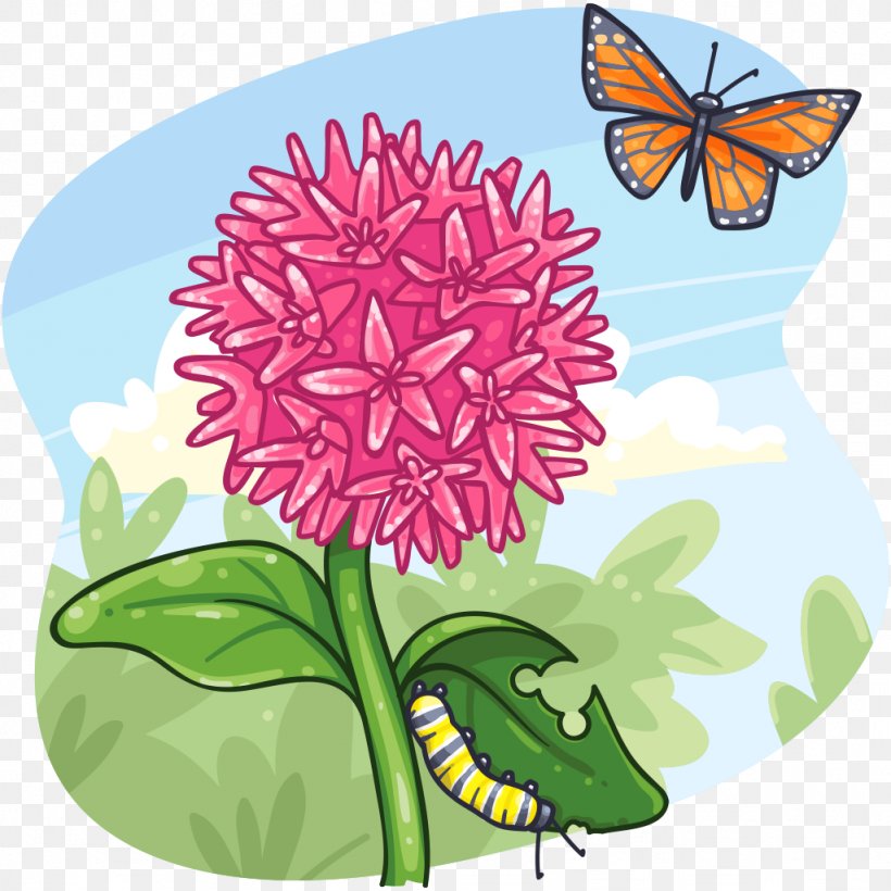 Monarch Butterfly Chrysanthemum Brush-footed Butterflies Cut Flowers, PNG, 1024x1024px, Monarch Butterfly, Brush Footed Butterfly, Brushfooted Butterflies, Butterfly, Chrysanthemum Download Free