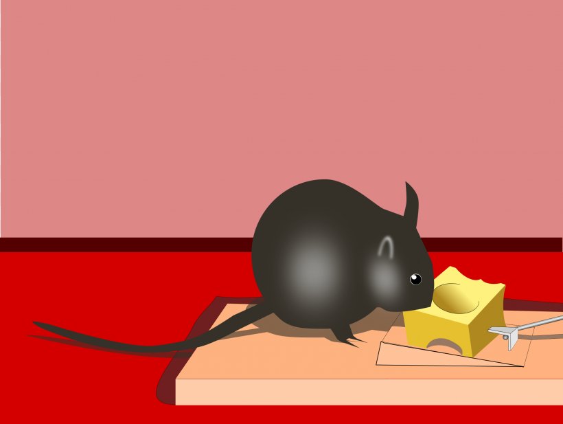 Mousetrap Rodent Rat Bait, PNG, 2400x1807px, Mouse, Bait, Carnivoran, Cartoon, Cat Download Free