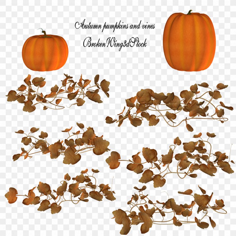 Pumpkin Vine Clip Art, PNG, 2000x2000px, Pumpkin, Administrator, Deviantart, Food, Halloween Download Free