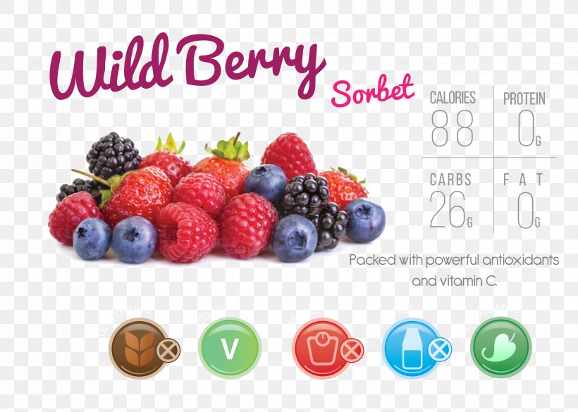 Juice Berry Fruit Electronic Cigarette Aerosol And Liquid Food, PNG, 3307x2362px, Juice, Berry, Blackberry, Blueberry, Flavor Download Free