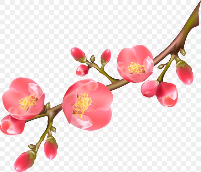 Paper Flower, PNG, 1225x1052px, Paper, Blossom, Branch, Calligraphy, Cherry Download Free
