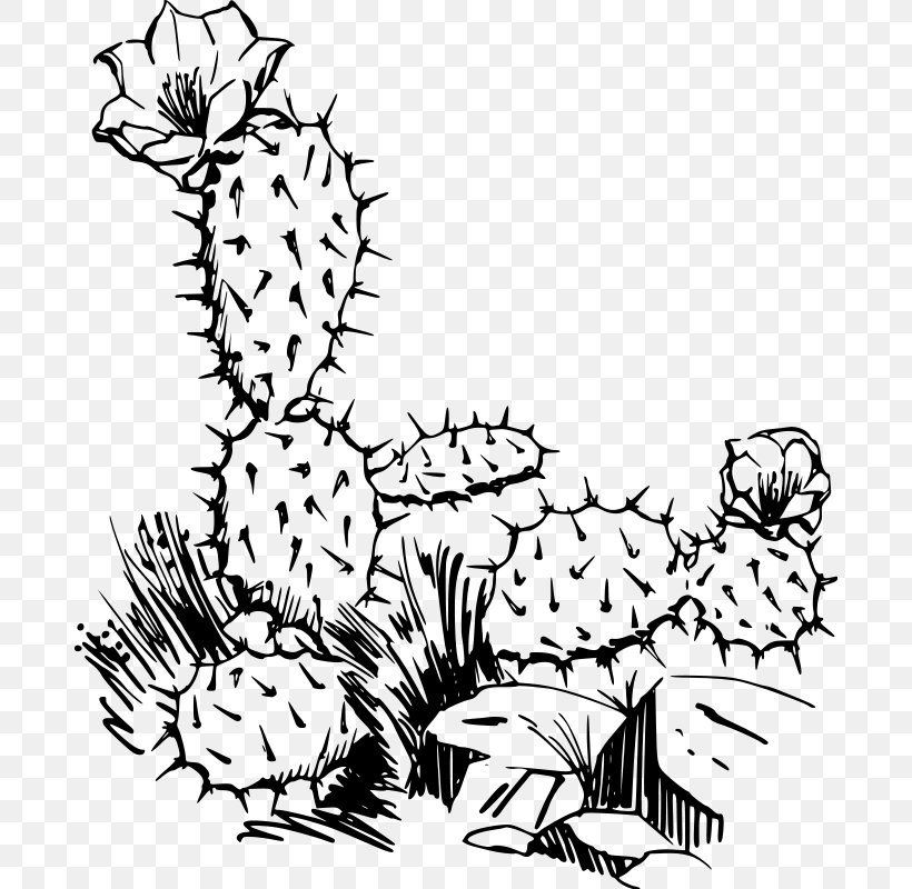 Cactaceae Saguaro Drawing Clip Art, PNG, 686x800px, Cactaceae, Area, Art, Artwork, Black Download Free