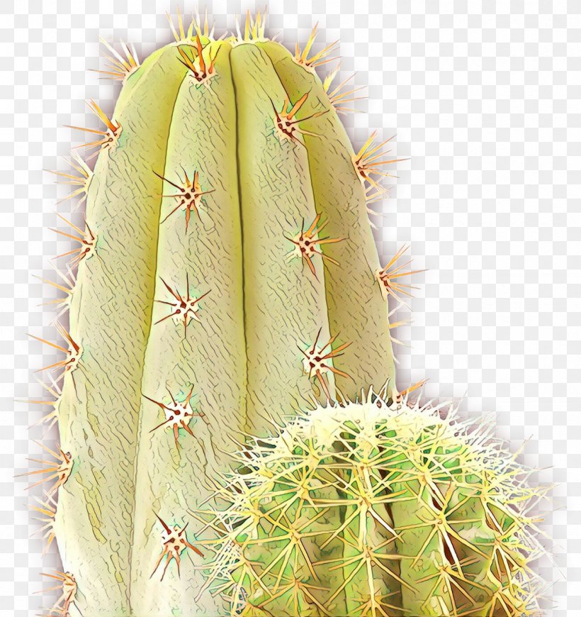 Cactus Cartoon, PNG, 1221x1296px, Eastern Prickly Pear, Acanthocereus Tetragonus, Barbary Fig, Cactus, Caryophyllales Download Free