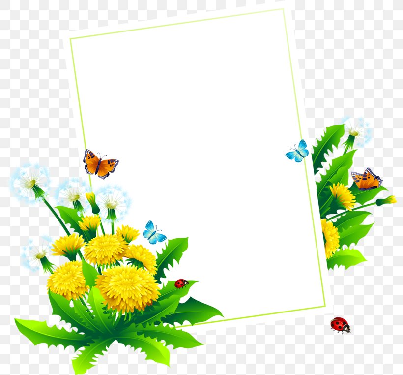 Flower Clip Art, PNG, 800x762px, Flower, Art, Butterfly, Cut Flowers, Flora Download Free