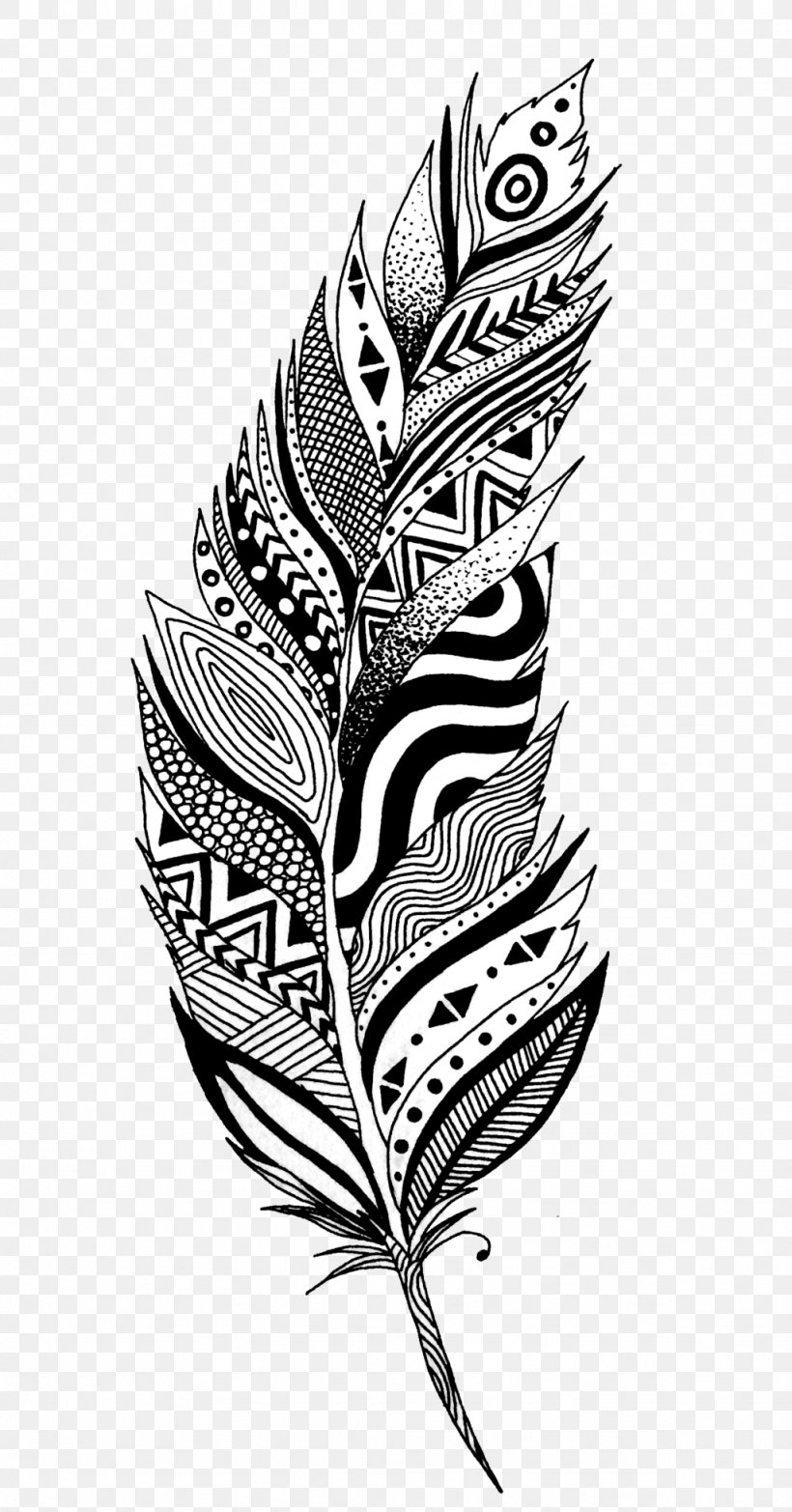 Doodle Feather Clip Art Set Ubicaciondepersonas cdmx gob mx
