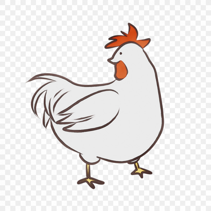 Rooster Chicken Birds Beak Water Bird, PNG, 1200x1200px, Watercolor, Beak, Biology, Birds, Cartoon Download Free