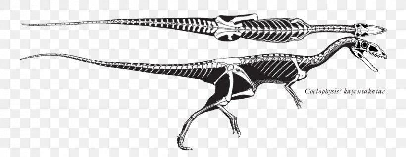 Velociraptor Tyrannosaurus Plateosaurus Staurikosaurus Eoraptor Lunensis, PNG, 1236x480px, Velociraptor, Animal Figure, Artwork, Black And White, Ceratosaurus Download Free